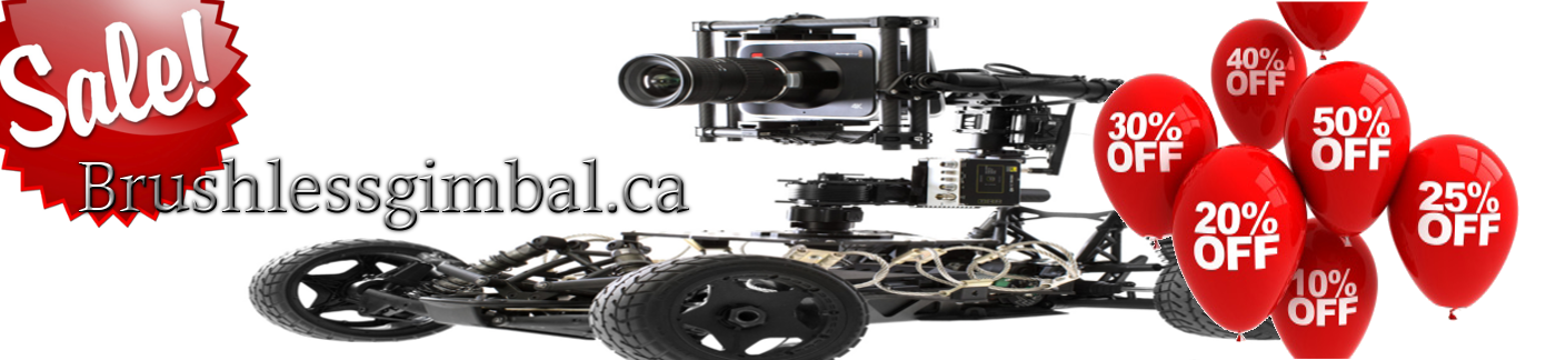 RC, FPV, BGC Parts go to sale at brushlessgimbal.ca